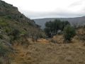 Barranco de la Rocha