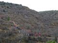 Remontando otro pequeo barranco