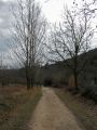 Caminando al encuentro del Bohilgues