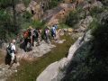 Ahora andamos acompaados por una agua cristalina